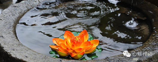 無需解釋的故事：念珠不見了