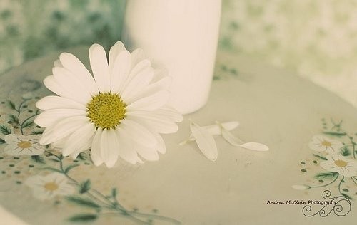 握得越緊，傷害越大