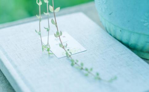 女人可以不漂亮 但不能沒有教養