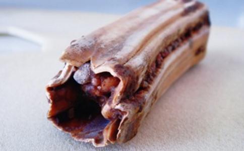 什麼是佛牙舍利_佛牙舍利的歷史介紹