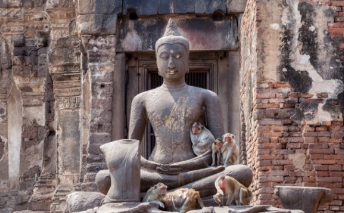 放生是給動物死裡逃生的機會