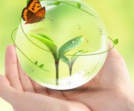 我們需科學「放生」