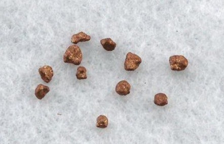 無骨舍利指的是什麼？為什麼說孫悟空會是無骨舍利