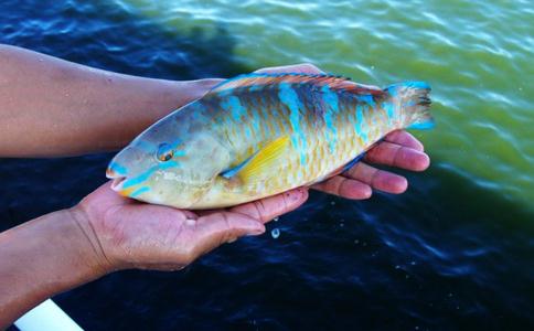 慈心即是一切安樂之因緣