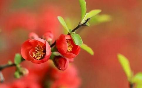 學佛配偶不理解怎麼辦？將修行功德迴向給對方！