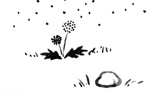 一切的煩惱皆源於心，心態決定你所看到的世界