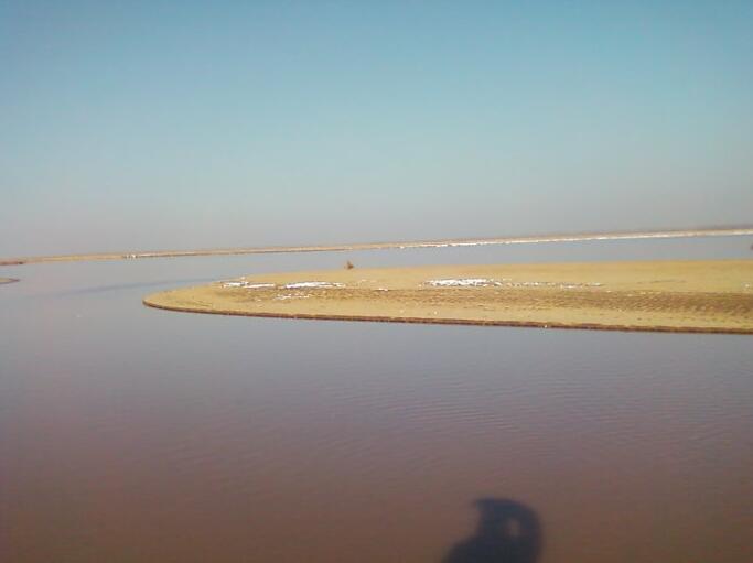 放生有三大忌諱