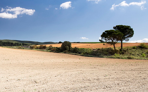 學誠法師：為什麼是世界改變我，而不是我改變世界？