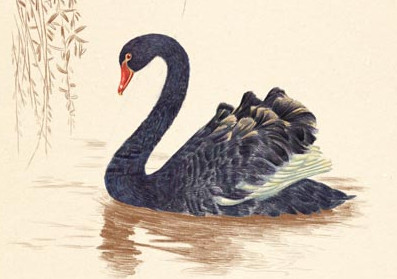 放生不是攀比，放生是放生自己