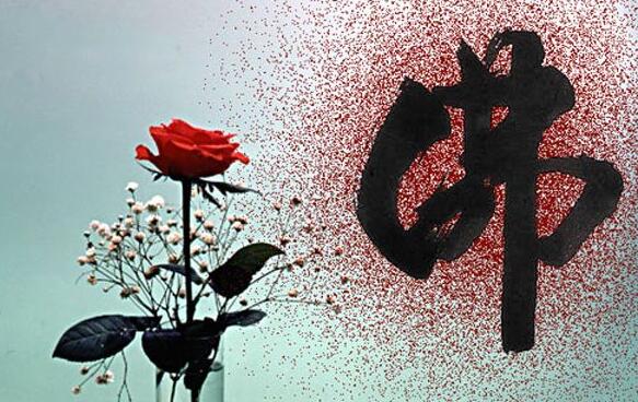 整理有關初學放生者的幾個建議