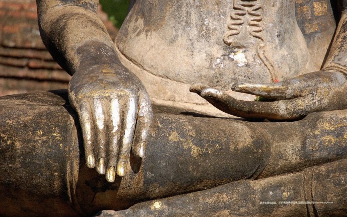 現代因果報應錄（四十三）燒死貓母，六子軟骨