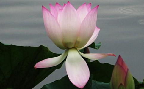 每一個眾生最珍貴的是自己的生命