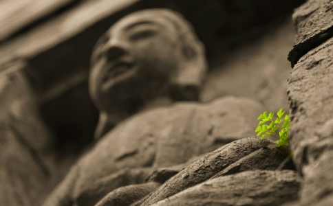 僧富法師破腹取心救小兒