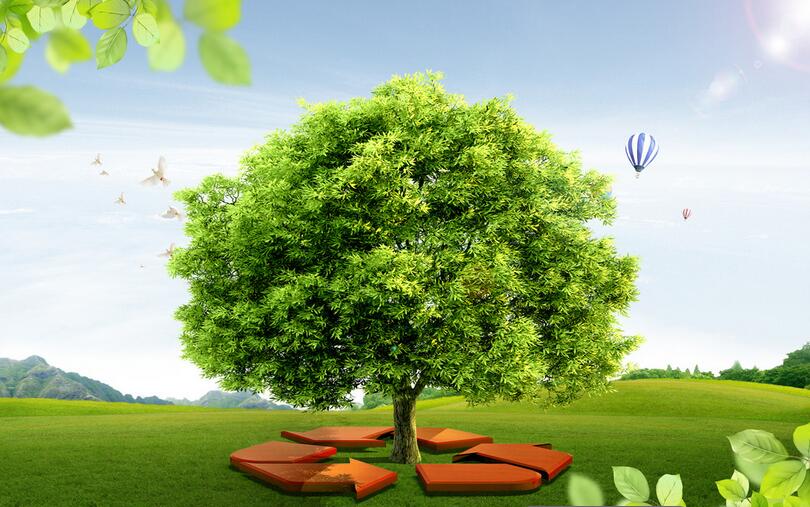 共同努力，維護自然平衡