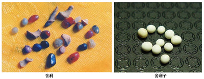 舍利與舍利子有何區別