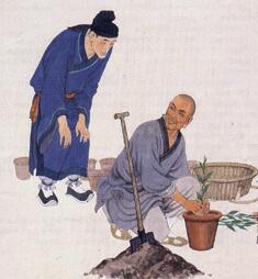 照顧花草等同於教育子弟！