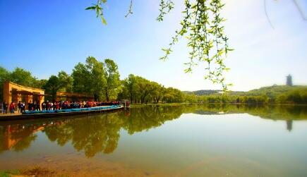 共修放生的形式介紹