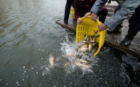 放生使眾生歡喜、佛歡喜