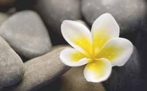 如法修行，人天恭敬