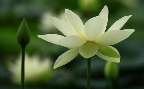 不怕念起，就怕覺遲