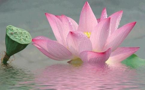 無量壽經講什麼