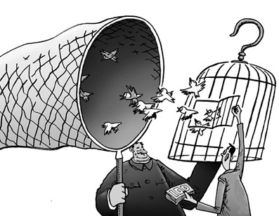 放生如何做好繕後工作