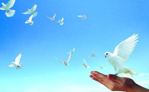 做給予生命自由的人