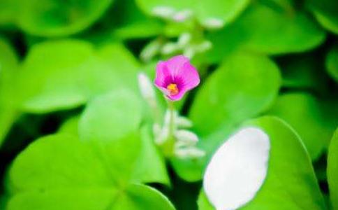 為什麼說禪修之時不要執著覺受？