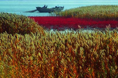 少年巧救母子五人，現世改命福壽雙全