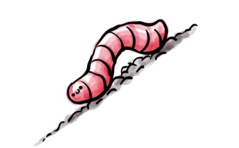 養花種地長蟲子怎麼辦？大悲咒能利益農田