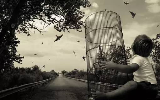 放生戒殺行善，孝子報答親恩