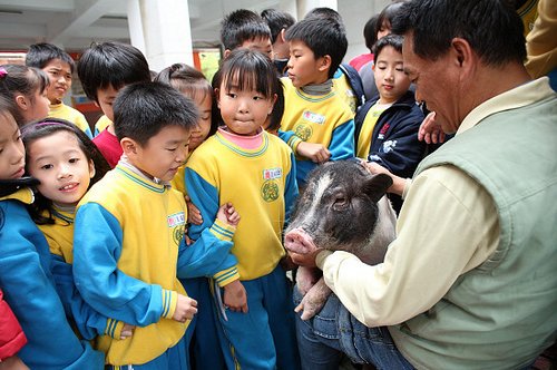 《和豬豬一起上課的日子》重現台灣中壢龍岡國小