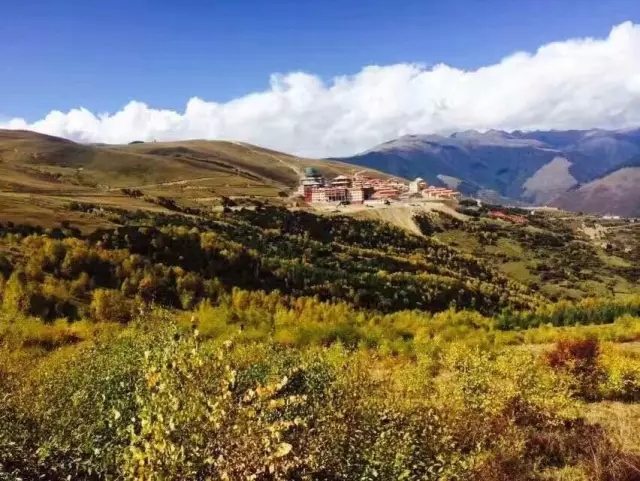 月悟法師：勸念佛人學天台宗