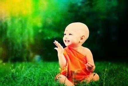 對放生的反思及建議，傳播正能量