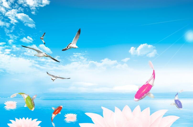 一條待宰的魚兒