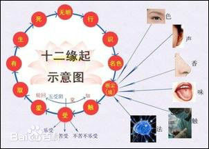 【十二因緣】-什麼是佛教的十二因緣