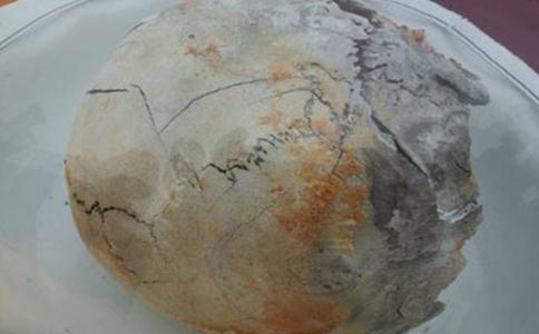 南懷瑾去世以及舍利子情況