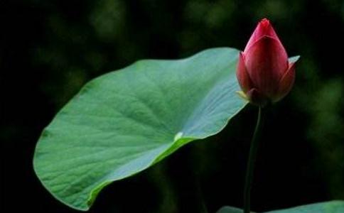 禪宗是否具足道次第且又超越道次第？