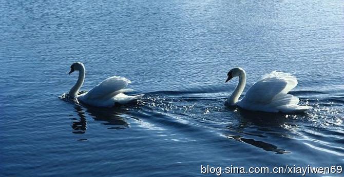貧賤夫妻互修福