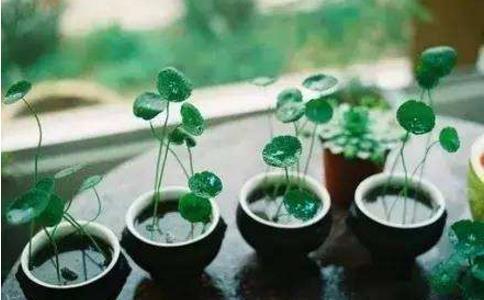 想要裝新東西，就要把舊東西倒掉