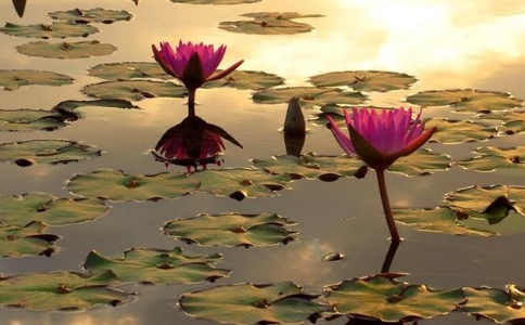 修行人很難通過的考驗——在枯淡處煉心