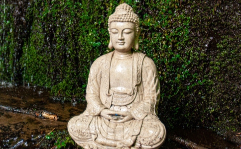 釋迦牟尼佛前世為大蟒蛇的故事