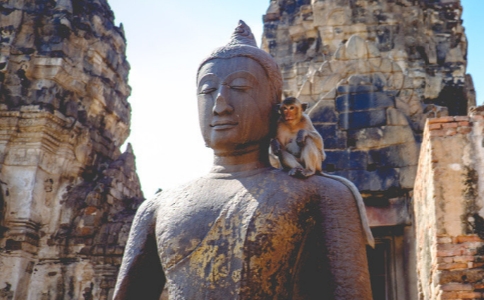 祀天遇佛，以殺生而求延生只會離長壽更遠