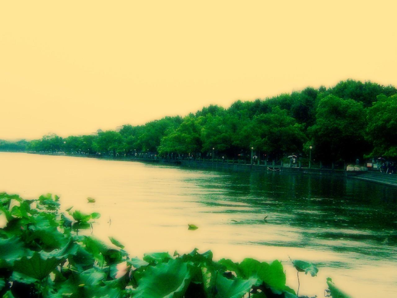 萬蛇念佛一齊超升