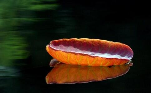 生病後感覺沒精進、學習落後了，對不起師父怎麼看？