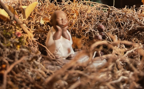 學佛者在聞思修的過程中，應當遵循四依法