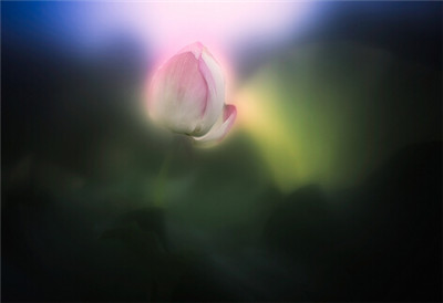 凈土法門誦《大悲咒》或《心經》算夾雜嗎？