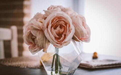 刀子嘴豆腐心是真的嗎？