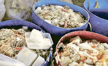 浪費食物的慘痛報應－五穀豐收地獄