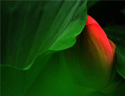 十小咒各有什麼作用？十小咒威力強大的原因